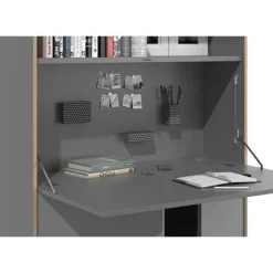 Mueller Müller FLAI Sekretär Mit Einer Klappe, Zwei Türen Und Regalfächer Anthrazit -Kinder Haushaltswaren Geschäft 1tkrkgjlsy089imqb1vu9wabm0h7