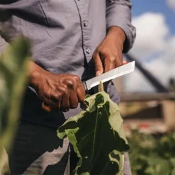 FISKARS X-series™ Erntemesser K82 11 FISKARS X-series™ Erntemesser K82 -Kinder Haushaltswaren Geschäft 7p1u0bxz7kpfka0rrkltskjvnpxj