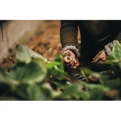 FISKARS Xact™ Hand-Fächerbesen Mit 7 Zinken 9 FISKARS Xact™ Hand-Fächerbesen Mit 7 Zinken -Kinder Haushaltswaren Geschäft 8v6ntfy5gwbwyyq512g2fwlpz2gz