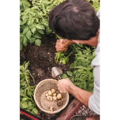 FISKARS Xact™ Blumenkelle Zum Ein- Und Umpflanzen -Kinder Haushaltswaren Geschäft bx2iws7aihsjwgxl9bdyrafh480s