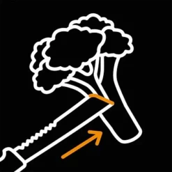 FISKARS X-series™ Erntemesser K82 12 FISKARS X-series™ Erntemesser K82 -Kinder Haushaltswaren Geschäft k5c5xscies361j6qk51hnq0gkx2u