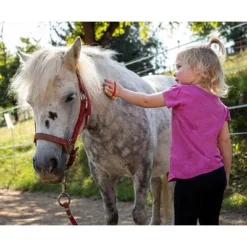 Erzi Kaufladenzubehör Sortierung Pferdepflege Set 42645 -Kinder Haushaltswaren Geschäft lm7h89r821uwjwir4c3kguts43fd