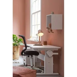 Lifetime Schreibtisch 120cm Höhenverstellbar/schrägstellbar Weiß Lackiert -Kinder Haushaltswaren Geschäft ml2fxj75dr9buubayhglnryecxkf